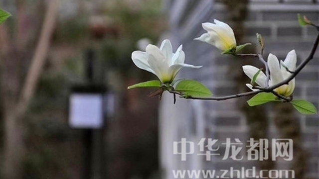 淮陽蓮舍，多了一份味道