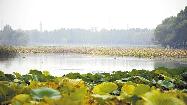 霜降時節秋意濃